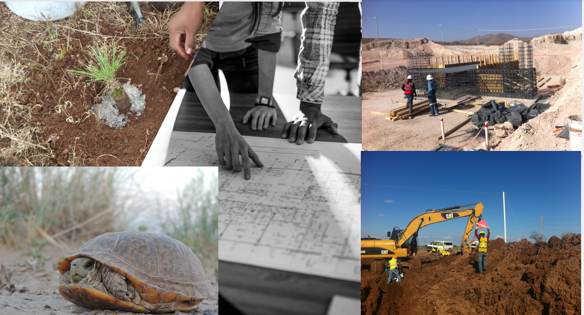 Descripción de la imagen